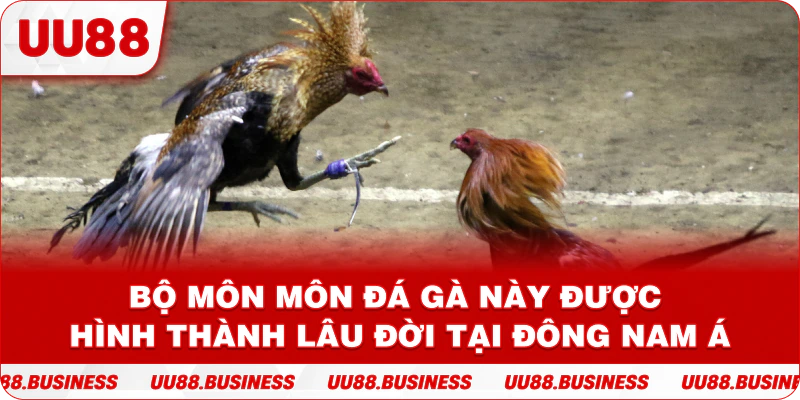 Bộ môn môn đá gà này được hình thành lâu đời tại Đông Nam Á