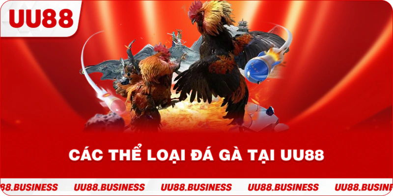 Các thể loại đá gà tại UU88