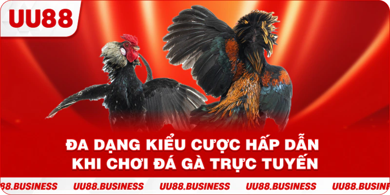 Đa dạng kiểu cược hấp dẫn khi chơi đá gà trực tuyến
