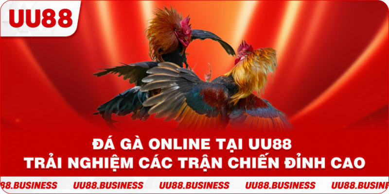 Đá Gà Online Tại UU88 Trải Nghiệm Các Trận Chiến Đỉnh Cao